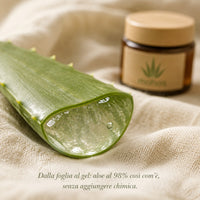 Foglia fresca di Aloe Vera con gel naturale MAHOS